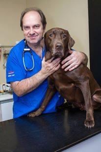 Dr. André Banville, veterinary doctor